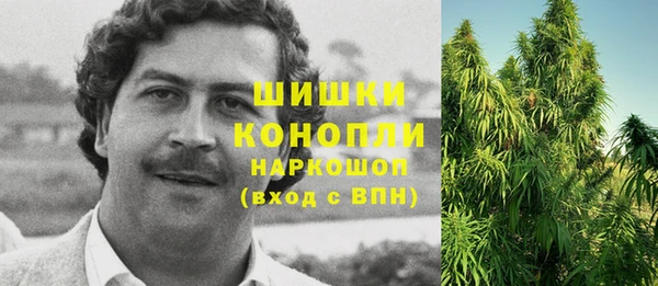 бошки Алзамай