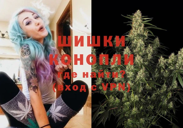 индика Алексеевка