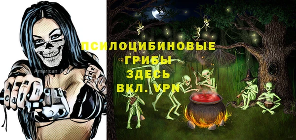 a pvp Алексин