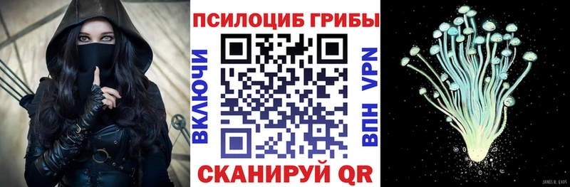 Псилоцибиновые грибы GOLDEN TEACHER  купить наркотики цена  площадка официальный сайт  Фролово 